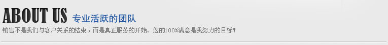 专业活跃的团队
